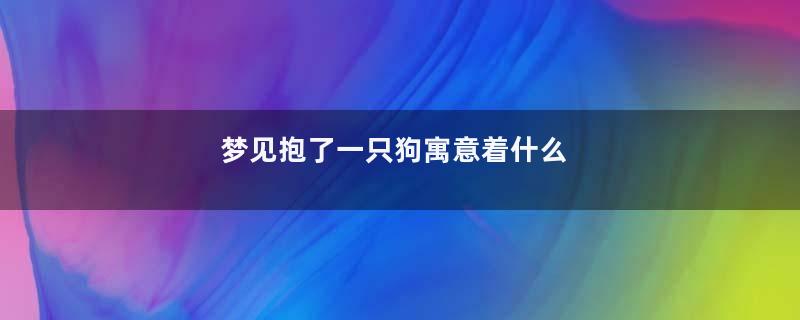梦见抱了一只狗寓意着什么
