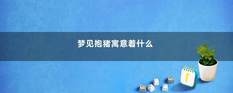 梦见抱猪寓意着什么