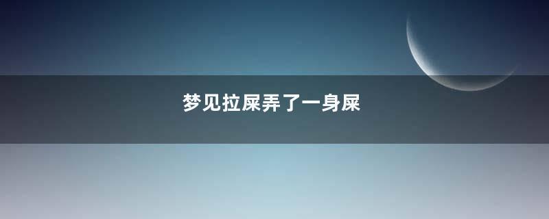 梦到拉屎弄了一身屎