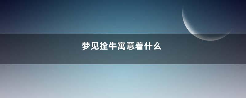 梦见拴牛寓意着什么