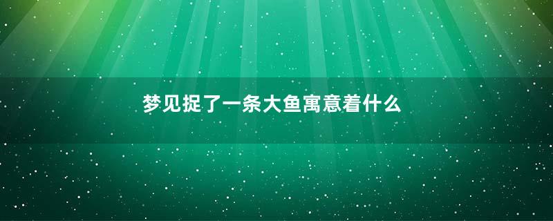 梦见捉了一条大鱼寓意着什么