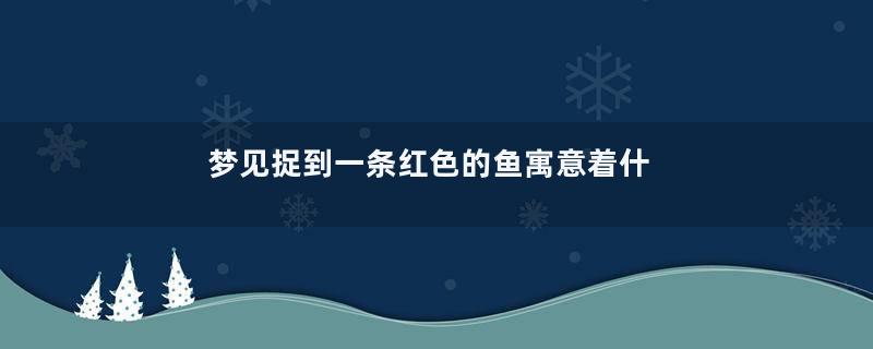 梦见捉到一条红色的鱼寓意着什么