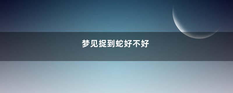 梦见捉到蛇好不好