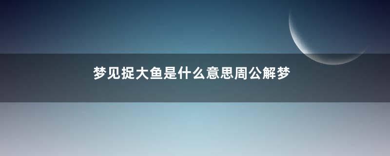 梦见捉大鱼是什么意思周公解梦