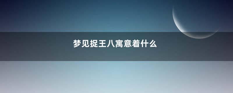 梦见捉王八寓意着什么