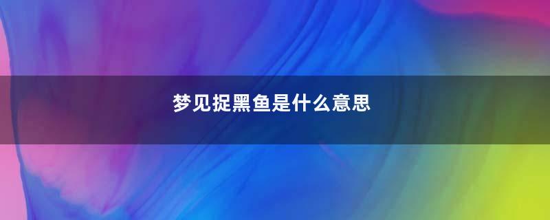 梦见捉黑鱼是什么意思