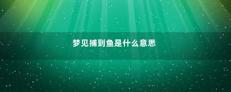 梦见捕到鱼是什么意思