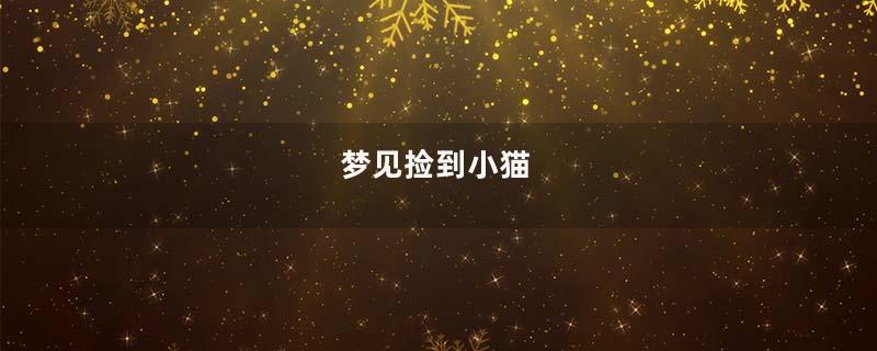 梦到捡到小猫
