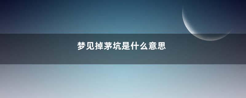 梦见掉茅坑是什么意思