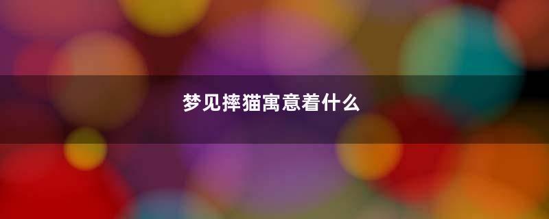 梦见摔猫寓意着什么