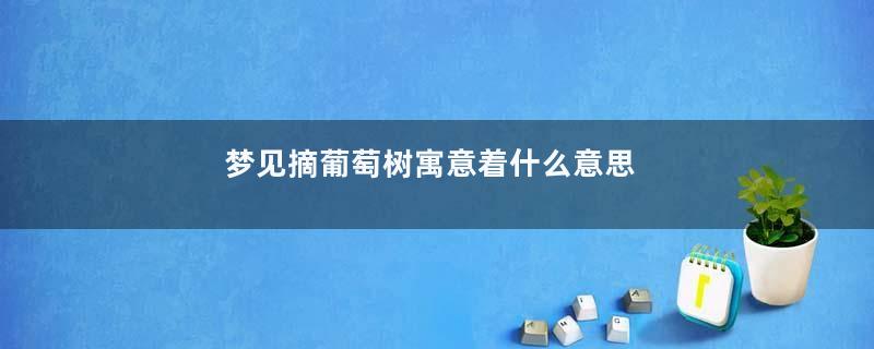 梦见摘葡萄树寓意着什么意思