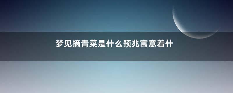 梦见摘青菜是什么预兆寓意着什么