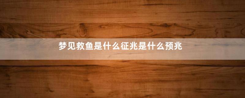 梦见救鱼是什么征兆是什么预兆