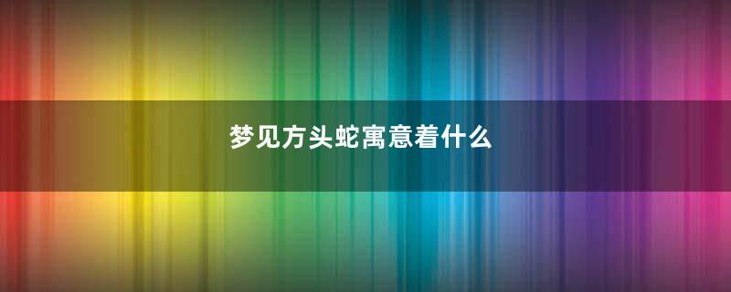 梦见方头蛇寓意着什么