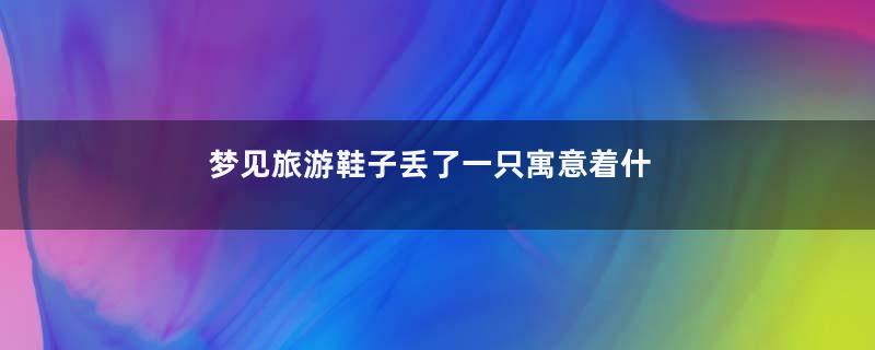 梦见旅游鞋子丢了一只寓意着什么