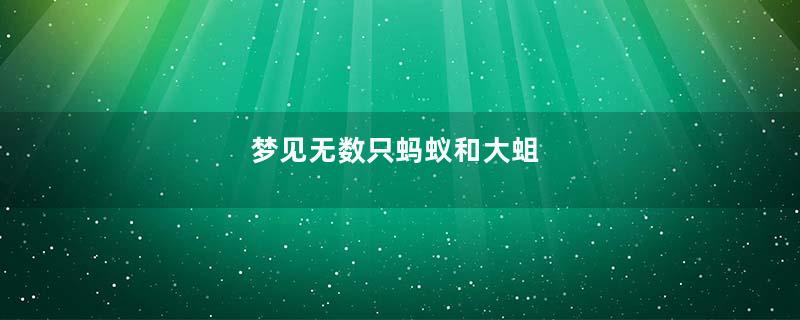 梦见无数只蚂蚁和大蛆