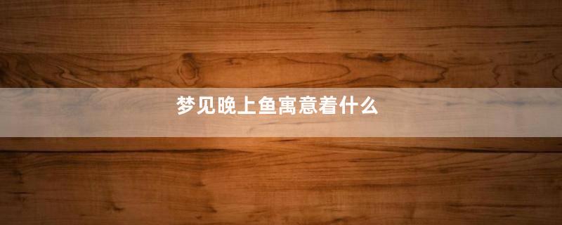 梦见晚上鱼寓意着什么