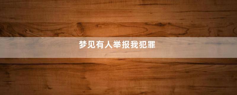 梦见有人举报我犯罪