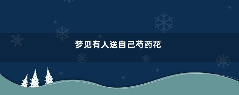 梦见有人送自己芍药花