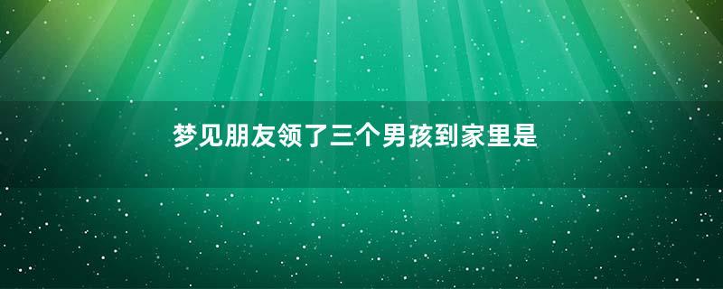 梦见朋友领了三个男孩到家里是什么意思