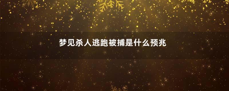 梦见杀人逃跑被捕是什么预兆