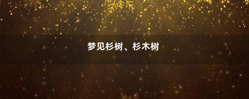 梦见杉树、杉木树