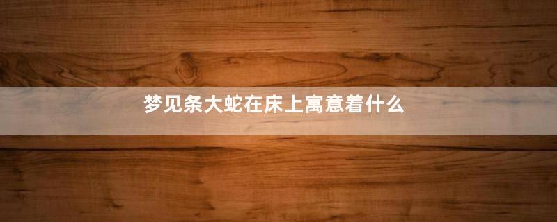 梦见条大蛇在床上寓意着什么
