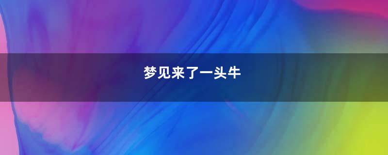 梦到来了一头牛
