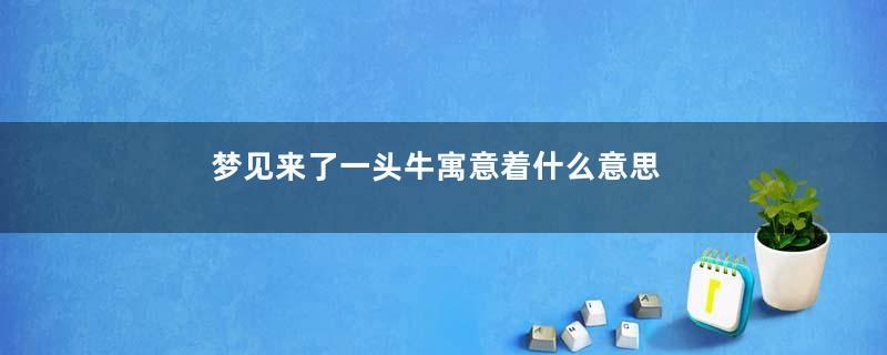 梦见来了一头牛寓意着什么意思