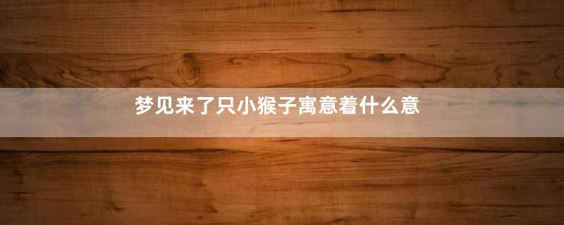 梦见来了只小猴子寓意着什么意思