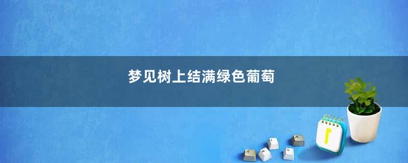 梦见树上结满绿色葡萄