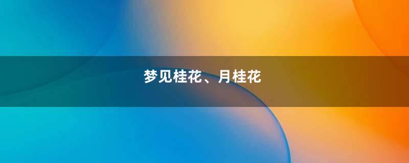 梦见桂花、月桂花