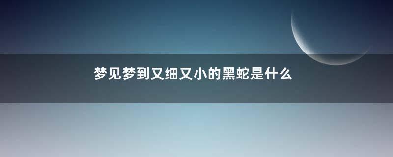 梦见梦到又细又小的黑蛇是什么意思
