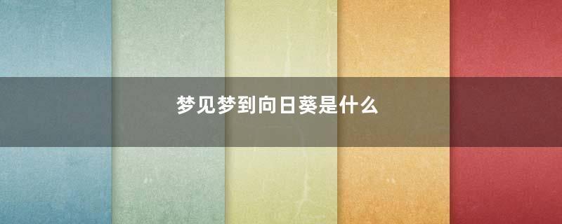 梦见梦到向日葵是什么
