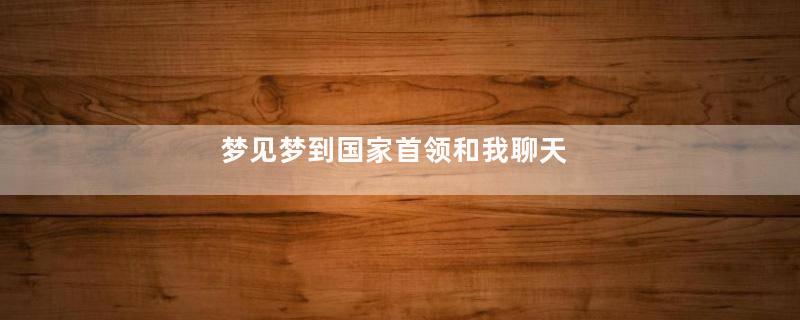 梦见梦到国家首领和我聊天