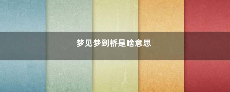 梦到梦到桥是啥意思