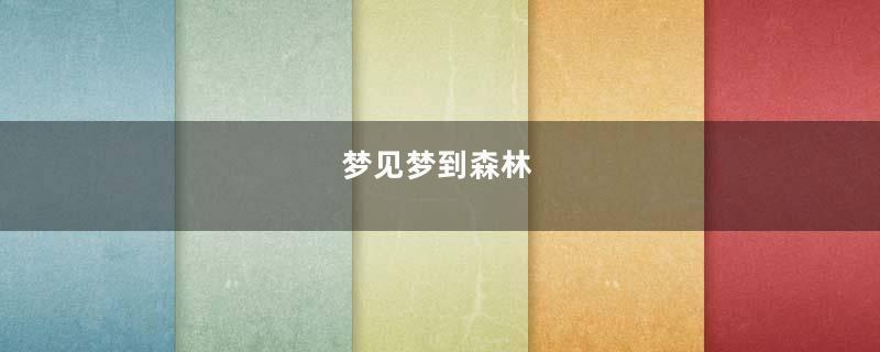 梦见梦到森林
