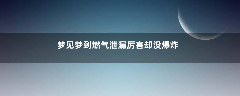 梦见梦到燃气泄漏厉害却没爆炸寓意着什么意思