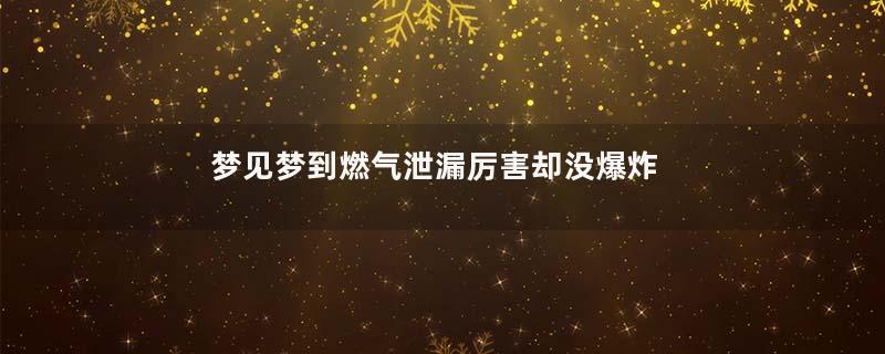 梦见梦到燃气泄漏厉害却没爆炸是什么意思