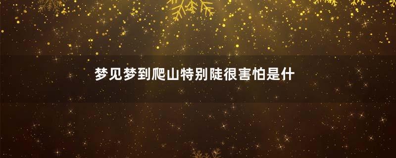梦见梦到爬山特别陡很害怕是什么意思