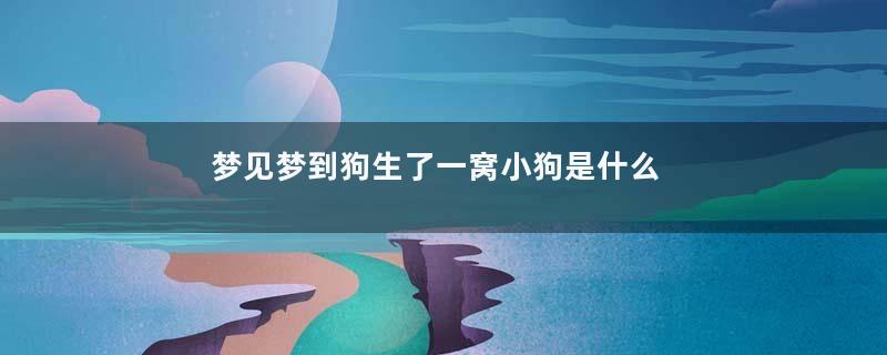 梦见梦到狗生了一窝小狗是什么意思寓意着什么