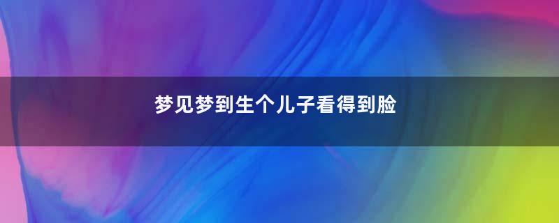 梦见梦到生个儿子看得到脸