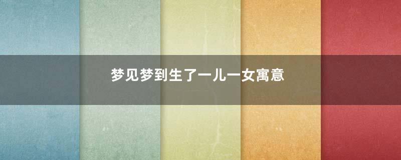 梦见梦到生了一儿一女寓意