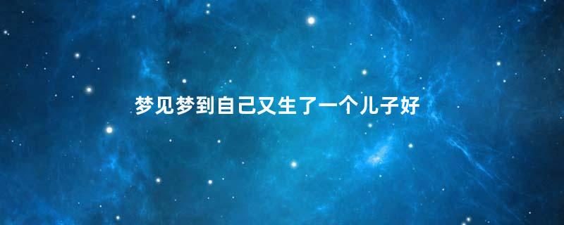 梦见梦到自己又生了一个儿子好不好