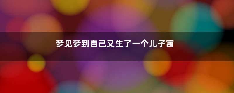梦见梦到自己又生了一个儿子寓意着什么意思