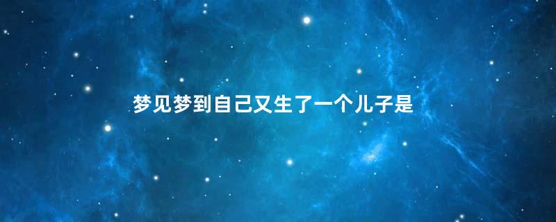 梦见梦到自己又生了一个儿子是什么意思