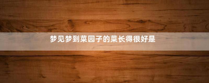 梦见梦到菜园子的菜长得很好是什么意思