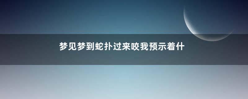 梦见梦到蛇扑过来咬我预示着什么是什么意思