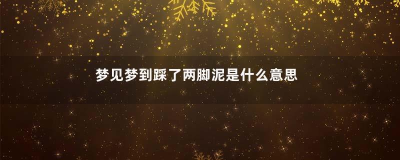 梦见梦到踩了两脚泥是什么意思