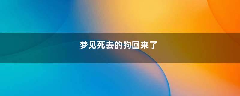 梦见死去的狗回来了
